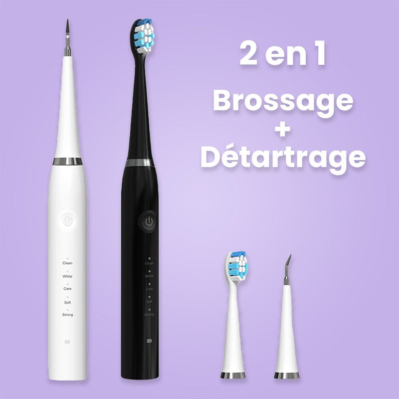 Brosse à dents électrique 2 en 1