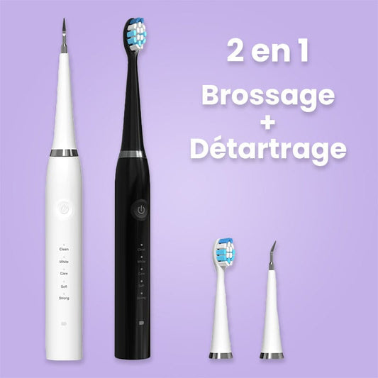 Brosse à dents électrique 2 en 1
