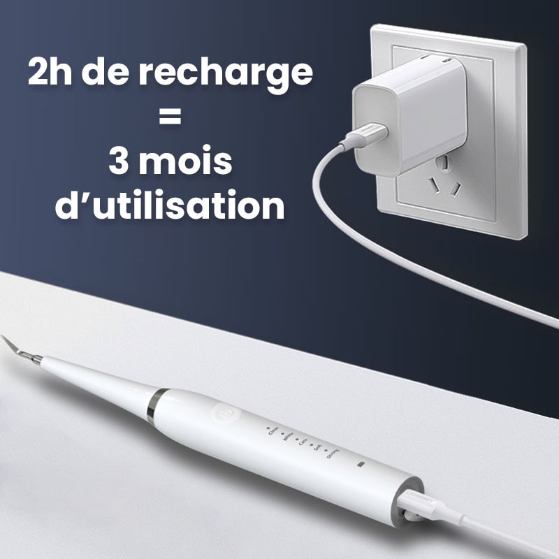 Brosse à dents électrique 2 en 1