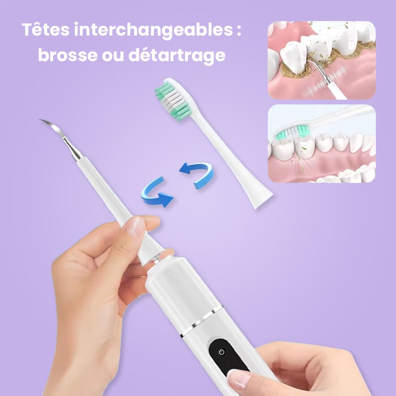 Brosse à dents électrique 2 en 1